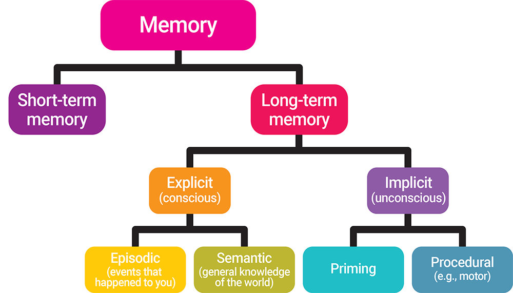 sensory memory pictures